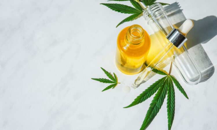 cbd oil canada