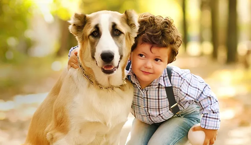 The Veterinary Medical Care Center: A Pet Owner’s Best Friend